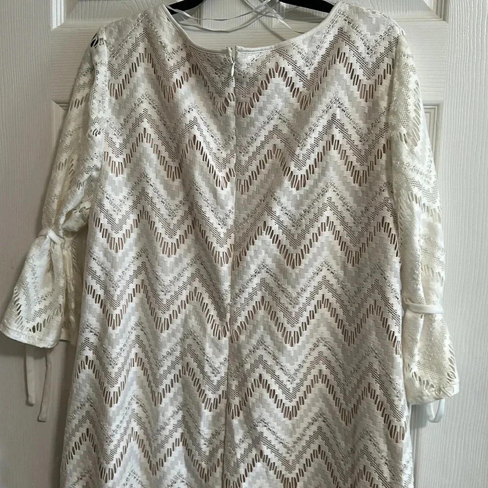 R&K Plus Size 18W Cream Lace Beige Lined Dress Women Stylish Cut EUC - Picture 5 of 5